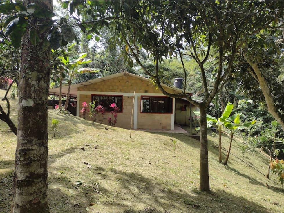 FINCA EL RINCONCITO - 1
