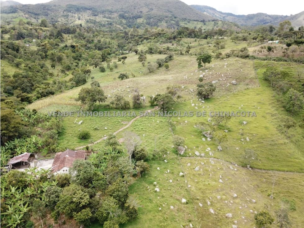 VENDO FINCA EN RAGONVALIA - 1