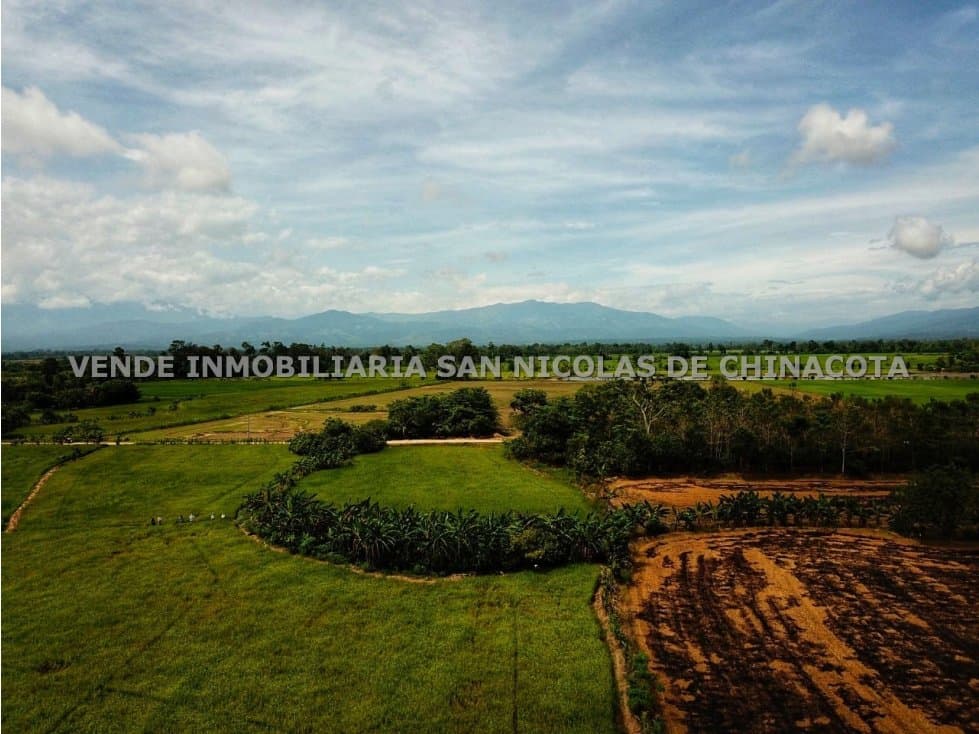 VENDO FINCA ARROCERA EN CUCUTA - 1