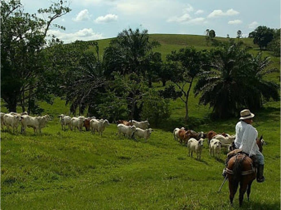 VENDO FINCA GANADERA ENORME DE 1800 HA Y CON TODA LA DOTACIÓN - 1