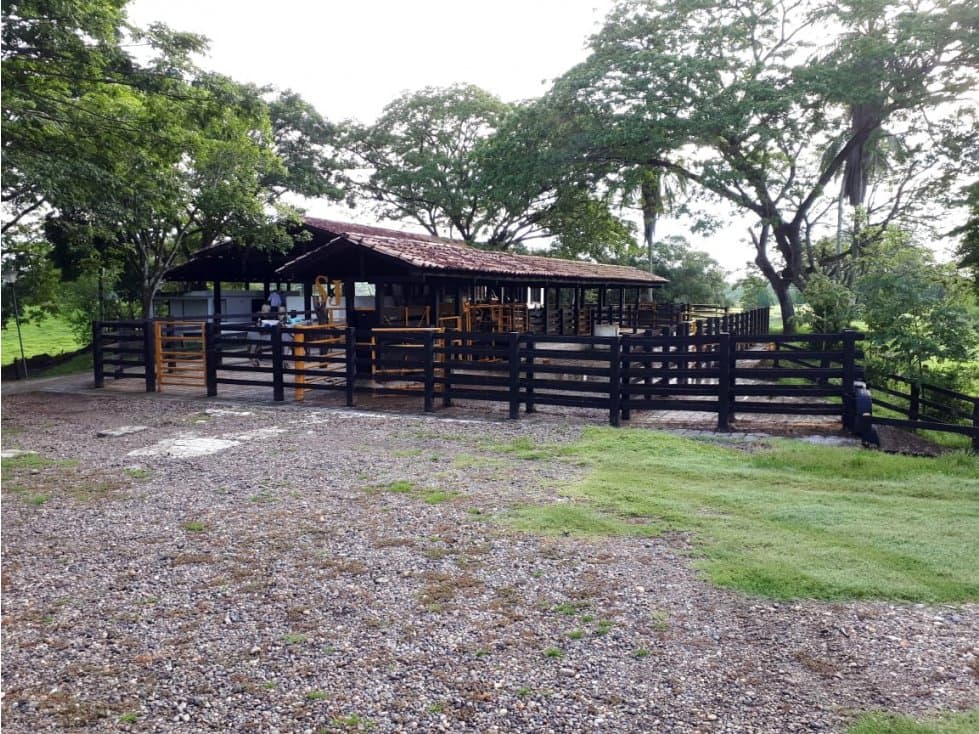FINCA GANADERA GRANDE EN LA RUTA DEL SOL - 1