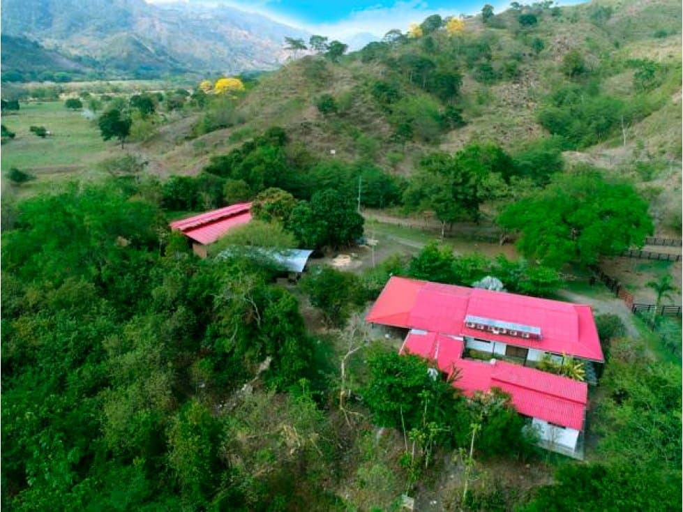 FINCA GANADERA DE 240 HA CERCA A RUTA DEL SOL EN MAGDALENA MEDIO - 1