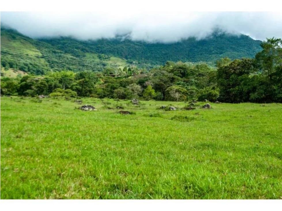 VENDO FINCA DE 370 HECTÁREAS EN SAN CARLOS VEREDA PATIO BONITO - 1