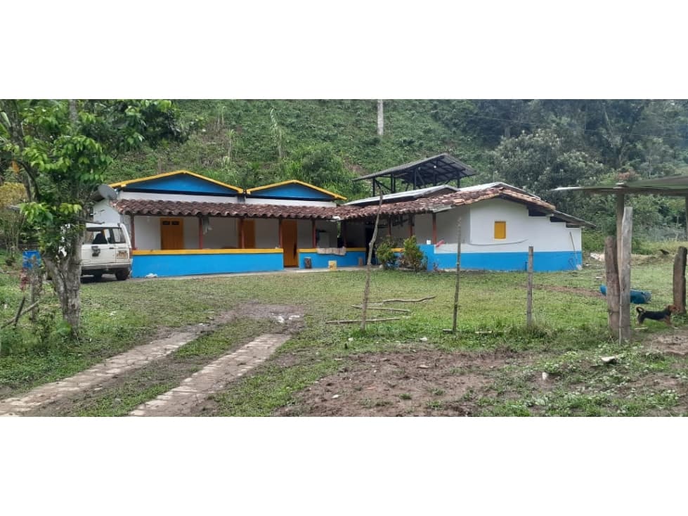 VENDO FINCA CAFETEREA DE 11 CUADRAS A 10 MINUTOS D BETANIA CERCA A VÍA - 1