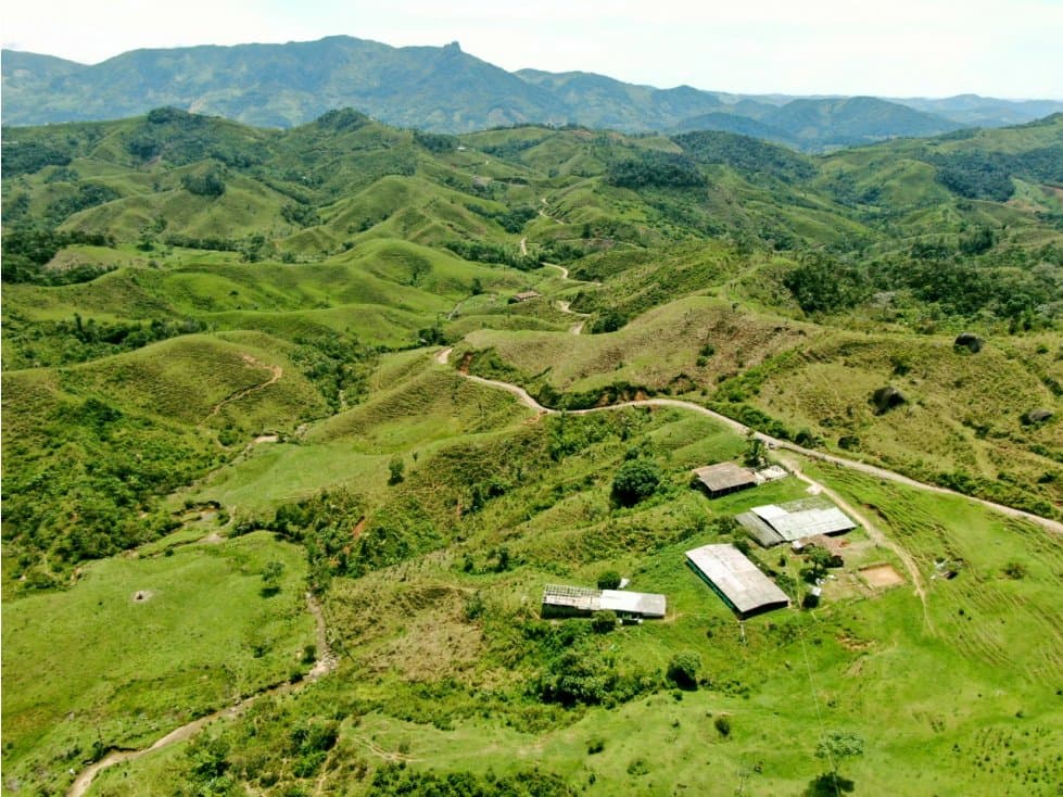 FINCA AMPLIA Y DE MUY BUEN PRECIO PARA GANADERÍA - 1