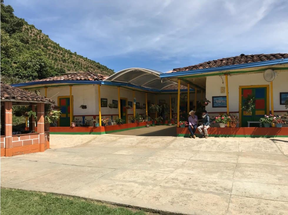 VENDO FINCA FÉRTIL DE 25 HECTÁREAS CON SEMBRADOS DE CAFÉ Y AGUACATE - 1