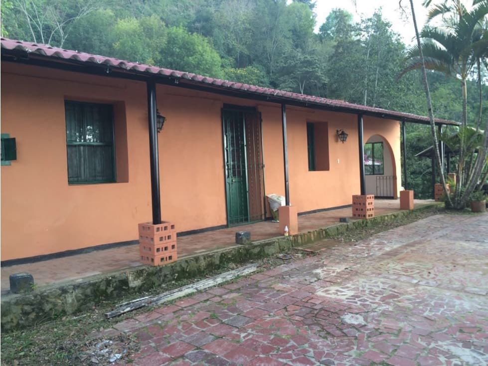 san miguel bosque - 1