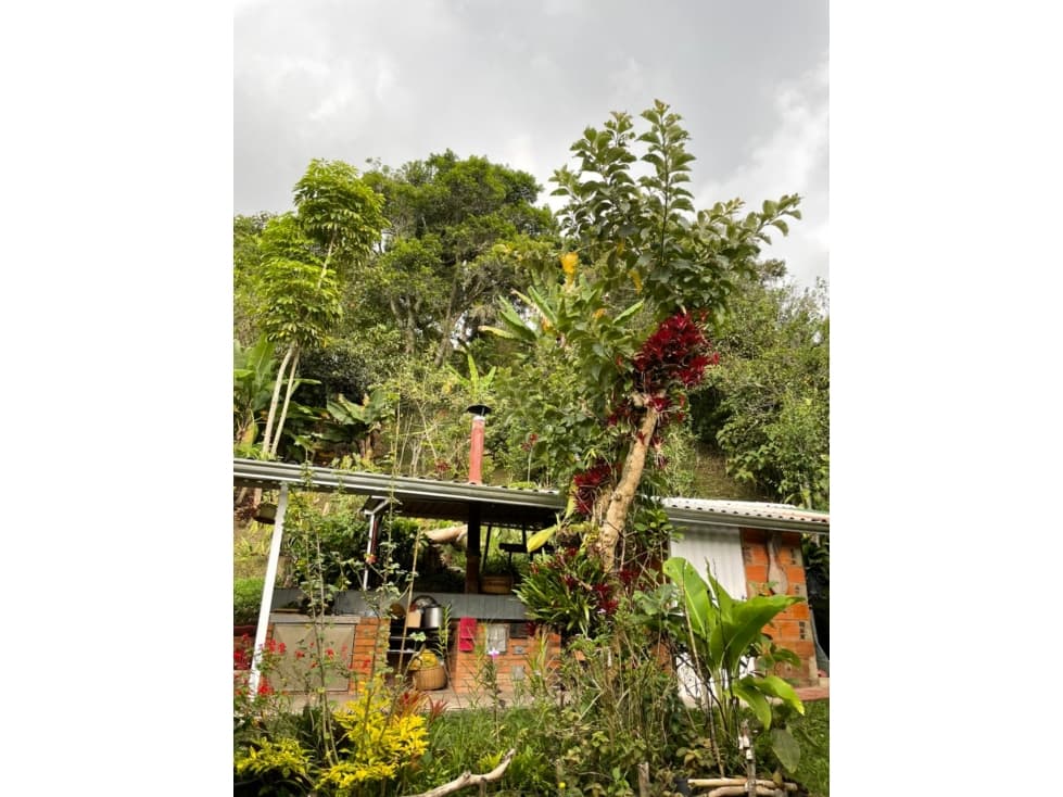 mirador de monteverde - 1