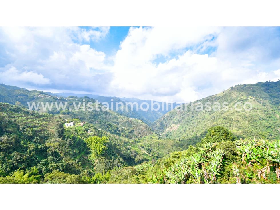 Venta Casa Sector Kilometro 8 Vía Neira Manizales - 1