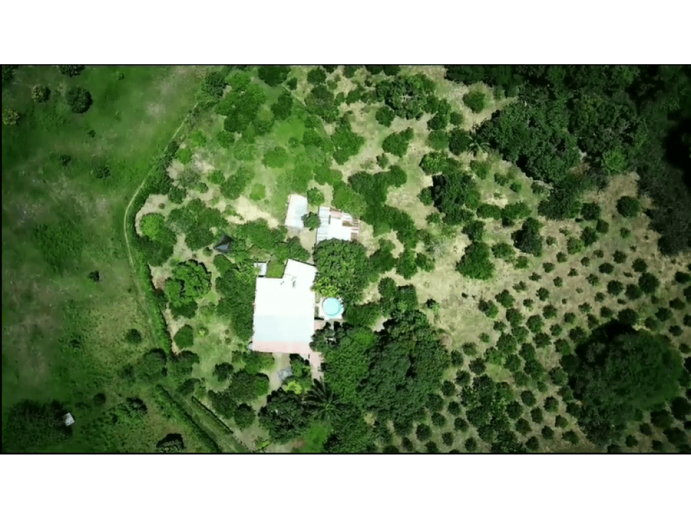 VENTA - PERMUTA FINCA SAN LUIS TOLIMA - 1