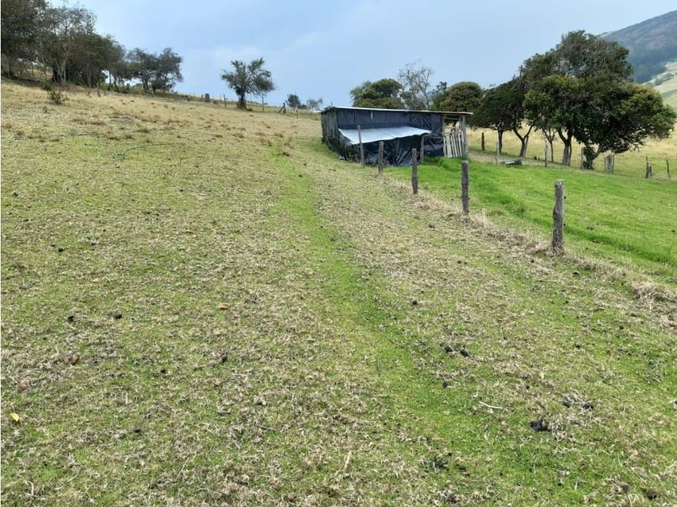VENDO FINCA EN GUATAVITA VEREDA HATILLO - 1