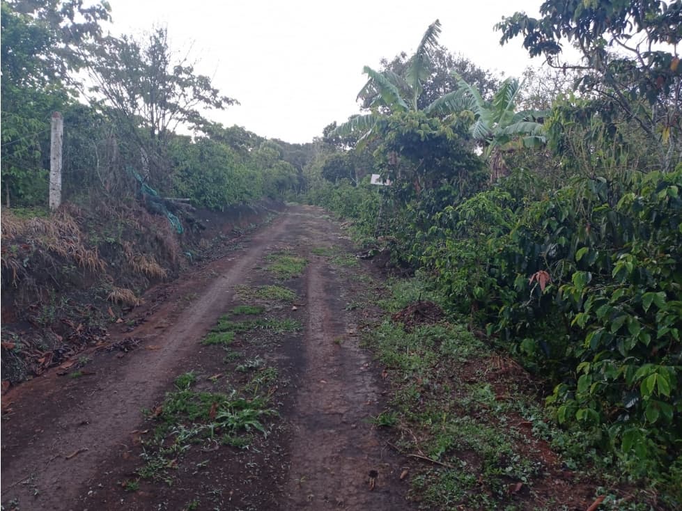 Finca - 1