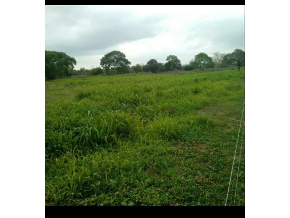 Se vende Finca Calawai - 1