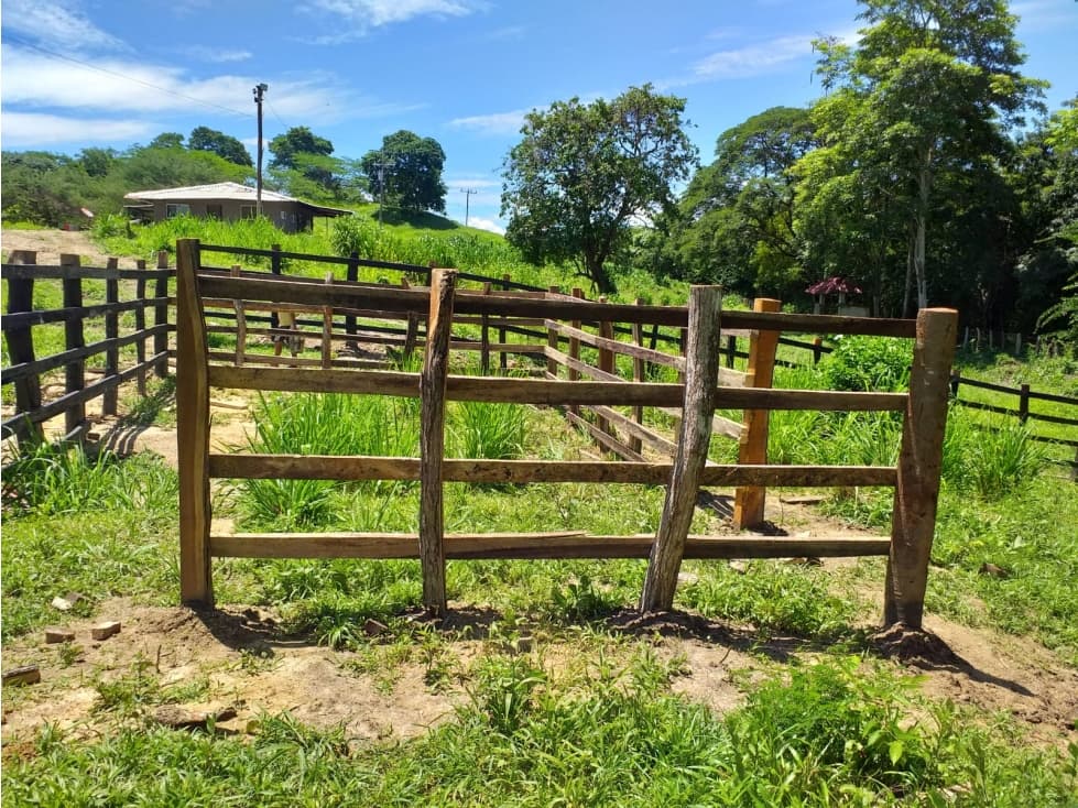 Se vende finca en Campeche, Atlántico de 12 hectáreas. - 1
