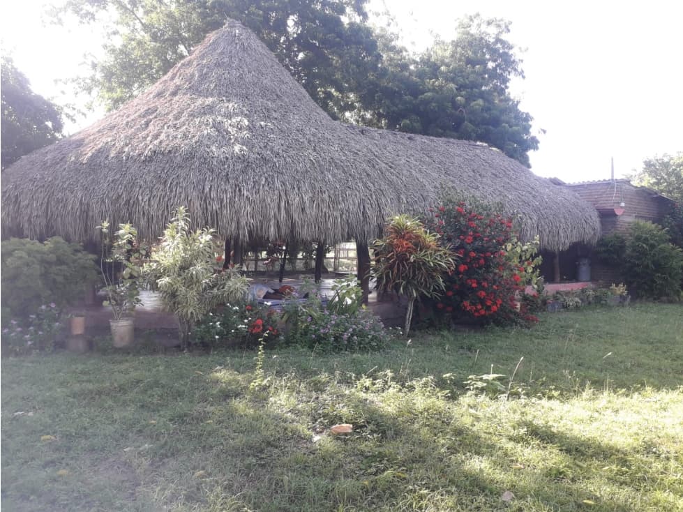 Se vende finca en Menbrillal de 40 hectáreas - 1