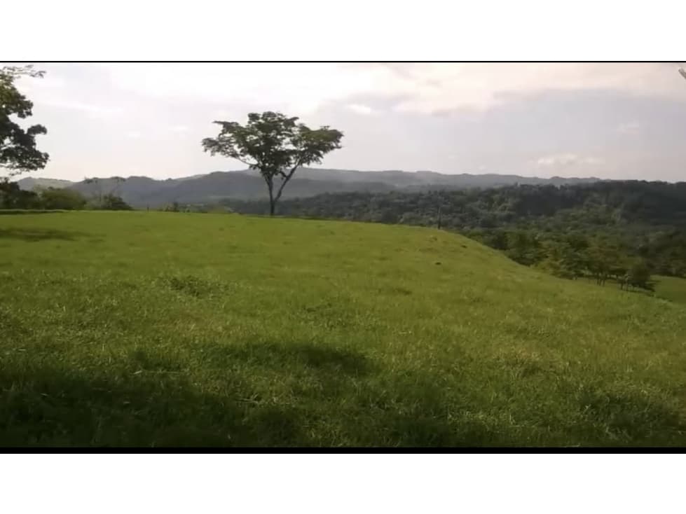 Se Vende Finca Para Proyecto Medio Ambiental Llanos Orientales - 1