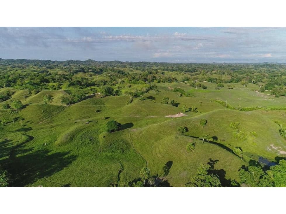 VENDO FINCA GANADERA 563 Has POR PUERTO BOYACÁ - 1