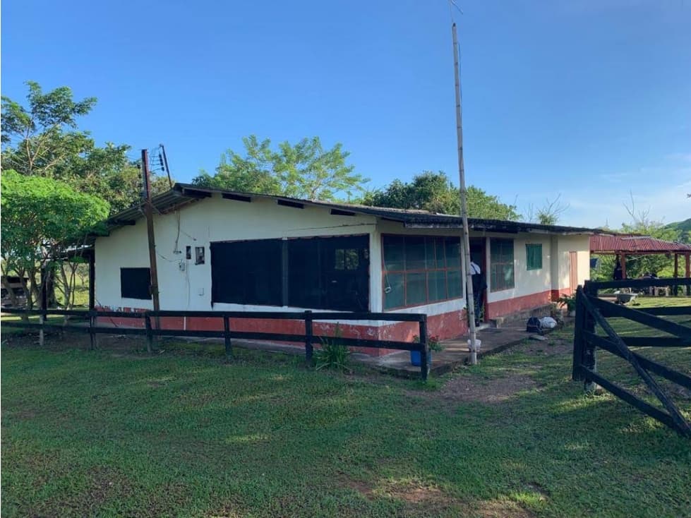 VENDO FINCA GANADERA 350 Has POR LOS LADOS DE PUERTO BOYACA - 1