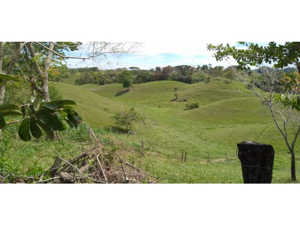 VENDO FINCA GANADERA DE 260 HAS POR PUERTO BOYACA - 1