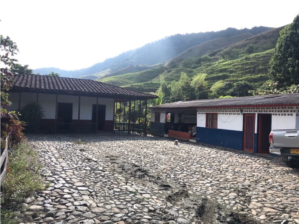 VENDO FINCA GANADERA 906 CUADRAS POR IRRA (QUINCHIA, RISARALDA) - 1