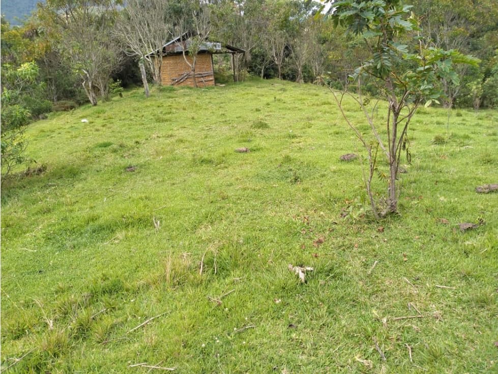 Venta de Lote Sector Vereda La Polka Abejorral - 1