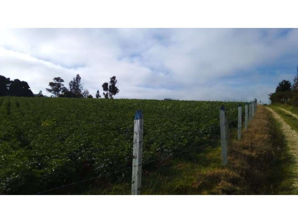 VENDO FINCA EN PAIPA BOYACA , VENTA DEL LLANO, PANTANO DE VARGAS - 1