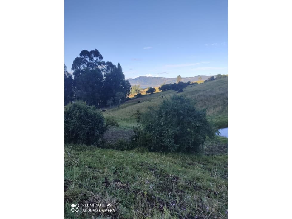 SE VENDE HERMSO LOTE  8000 MTRS V. CHALECHE GUATAVITA GG> - 1