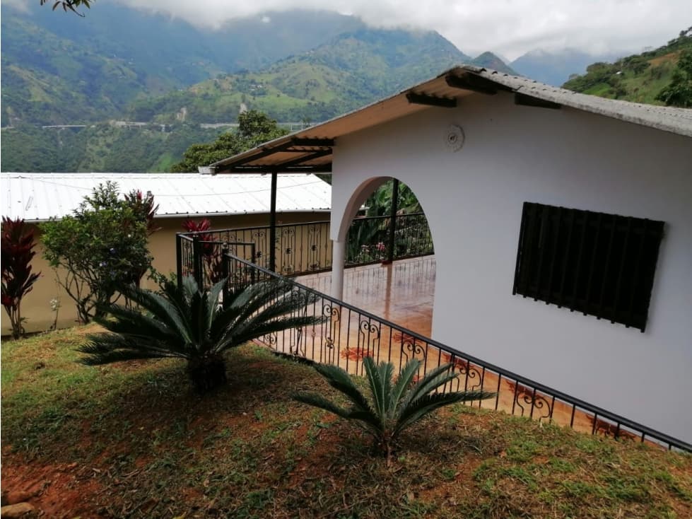 Venta Finca Vereda La Renta, Ebejico, Antioquia - 1