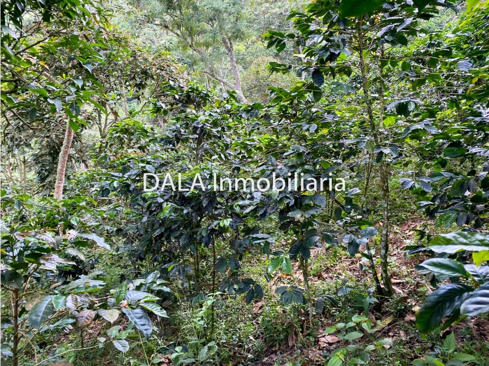 SE VENDE HERMOSA FINCA EN LA PEÑA CUNDINAMARCA - 1