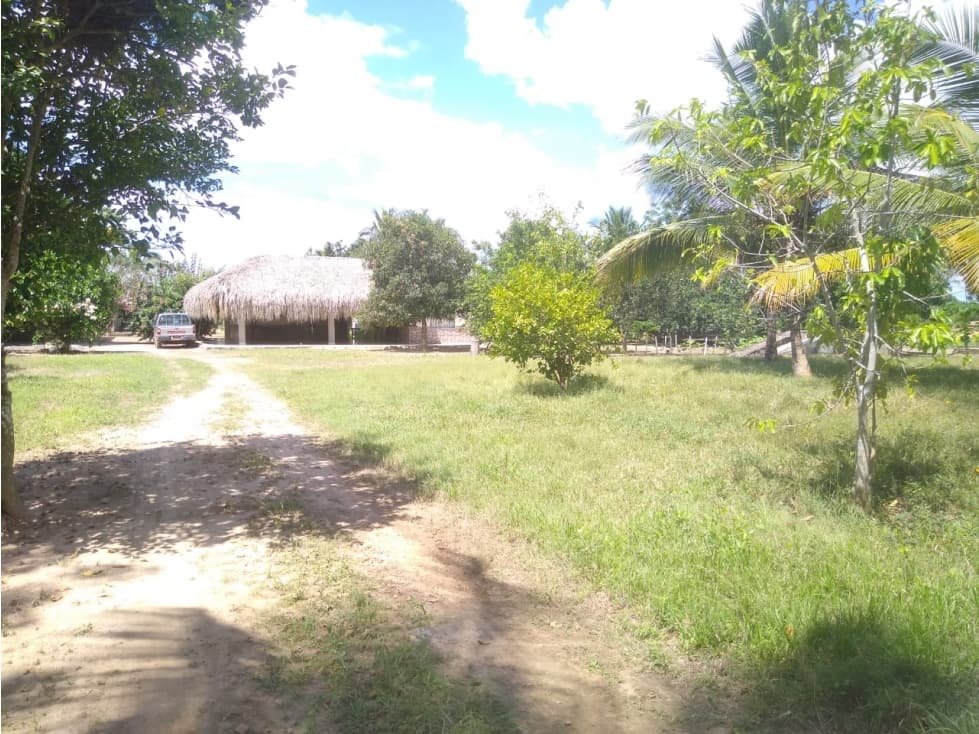 FÉRTIL FINCA DE PRODUCCIÓN AGRÍCOLA Y GANADERA - 1