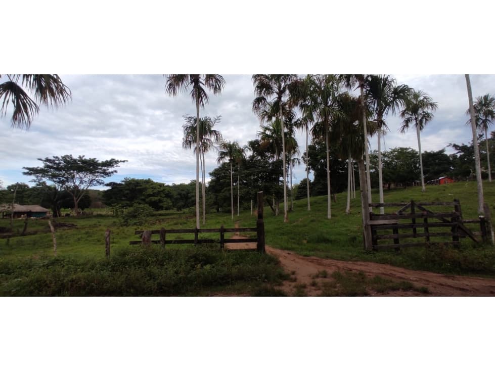 LOTE DE 1HT EN VENTA  EN LAS BRISAS - CIENAGUITA - 1
