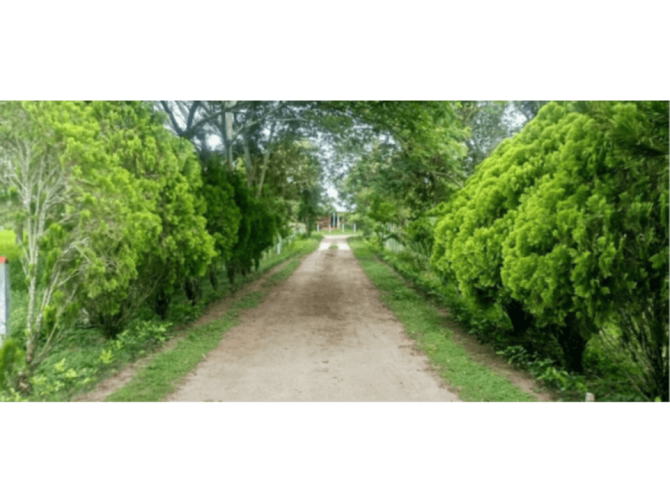 Venta de Finca En El Guamo Tolima - 1