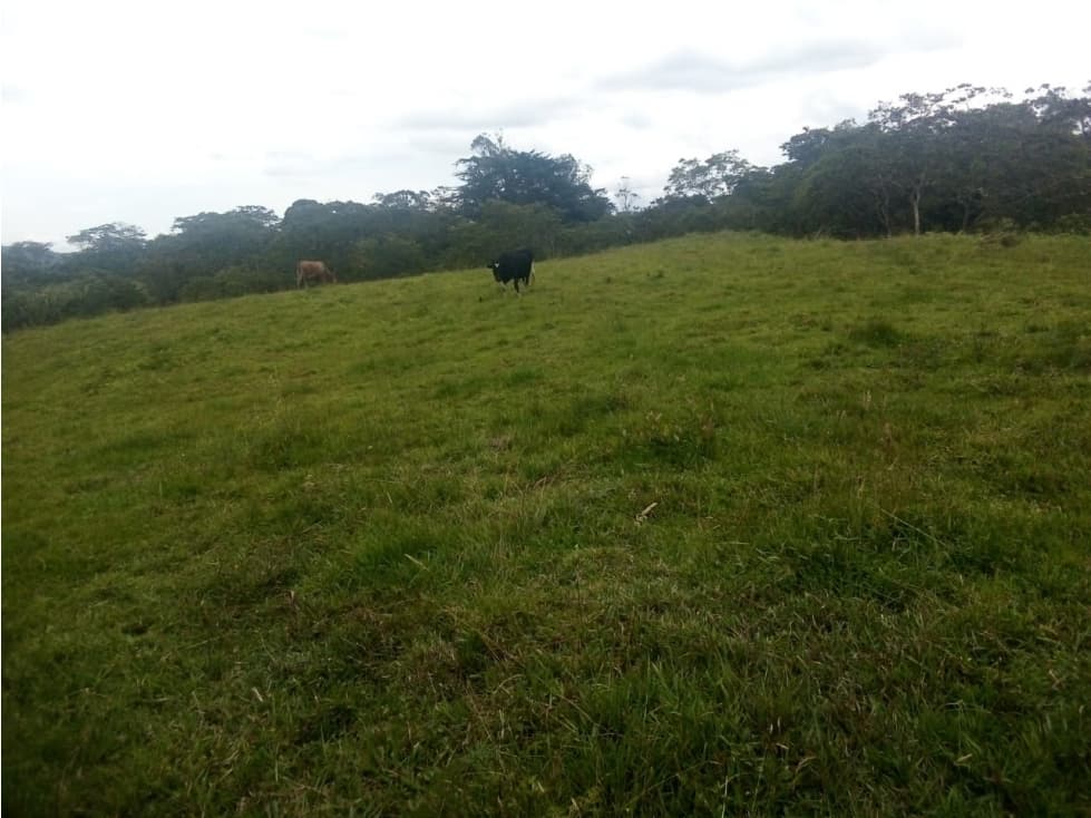 LOTE MONIQUIRA - 1