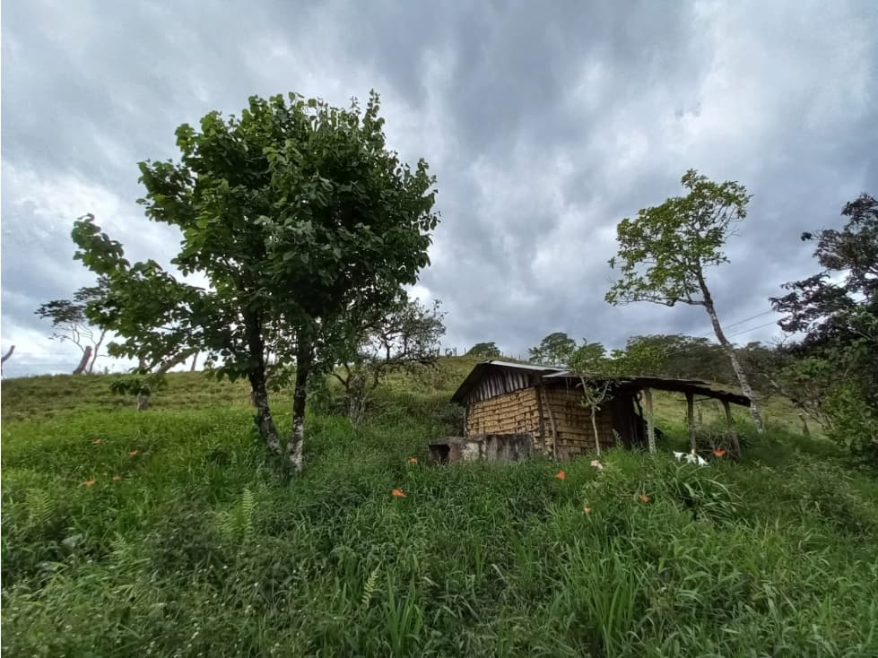 VENTA DE FINCA COLORADO BAJO MONIQUIRA - 1