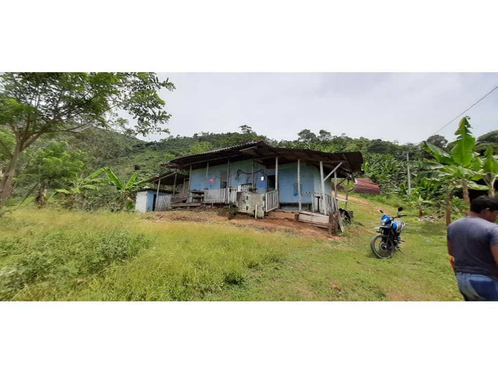 VENTA FINCA - VEREDA COCO HONDO - BALBOA - RISARALDA - 1