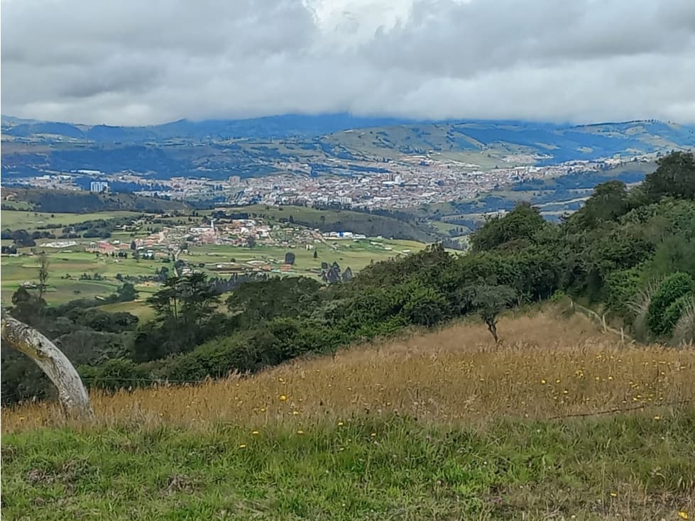 VENTA DE LOTE PANTANO AMARILLO VEREDA CARBONERA MOTAVITA - 1