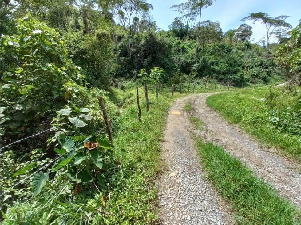 VENTA DE FINCA VEREDA COLORADO BAJO - 1