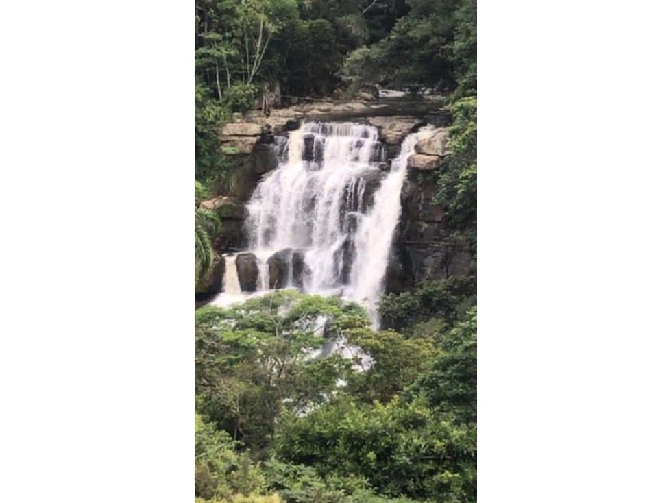 Alquilo Finca en Guaduas Cundinamarca - 1