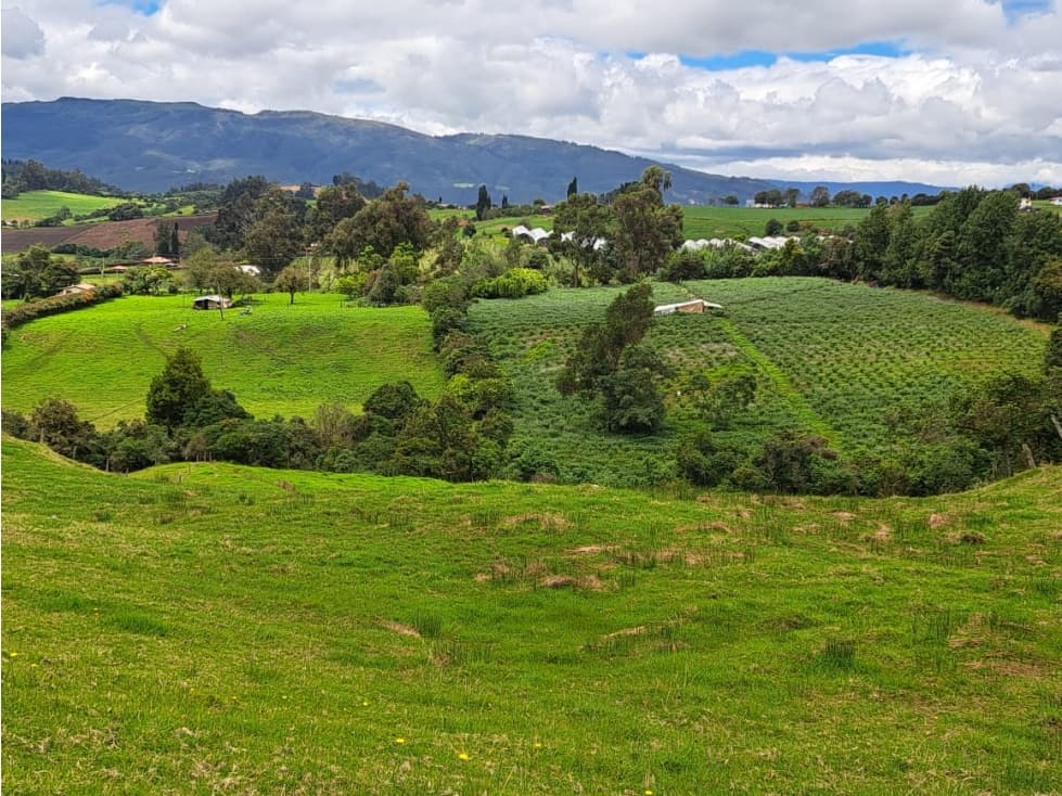 VENTA FINCA COGUA - 1