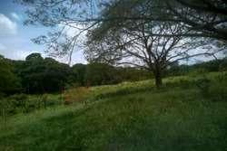 Finca en Venta en Bosconia - 1