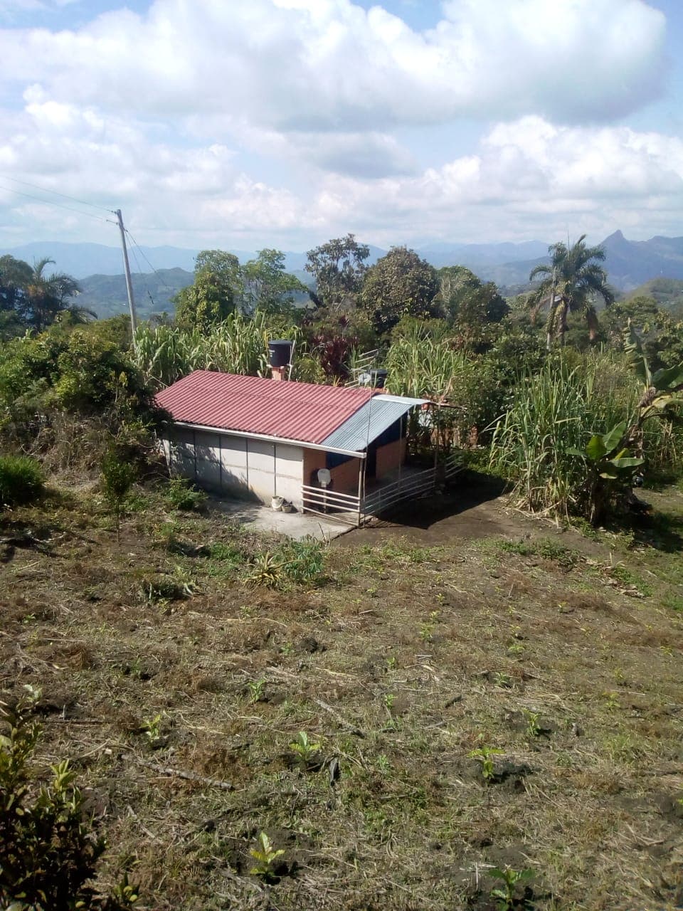 Vendo Finca en Vegara Cundinamarca - 1
