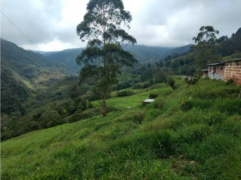 Lote en Venta en  Yarumal, sobre la Troncal. - 1
