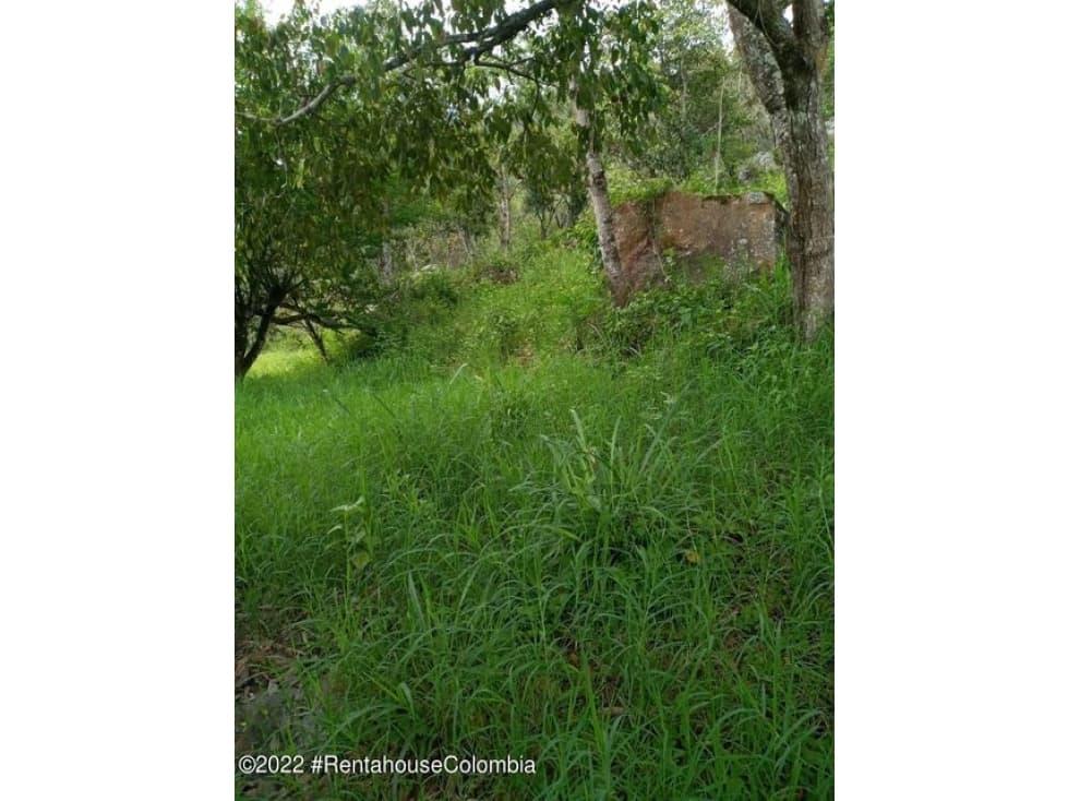 Vendo Lote en  Palo Blanco(Curiti) C.C 22-2522 - 1