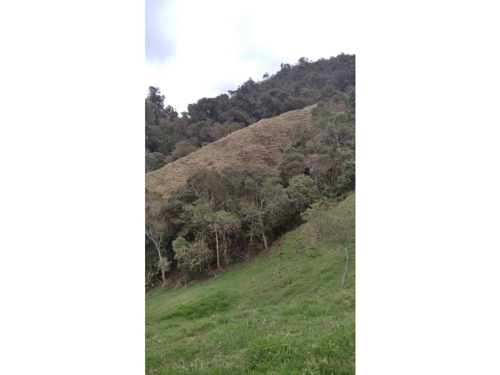 Finca - 1