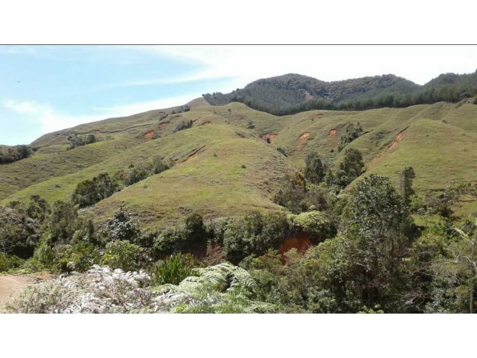 Lote para agricultura en Urrao a la venta - 1