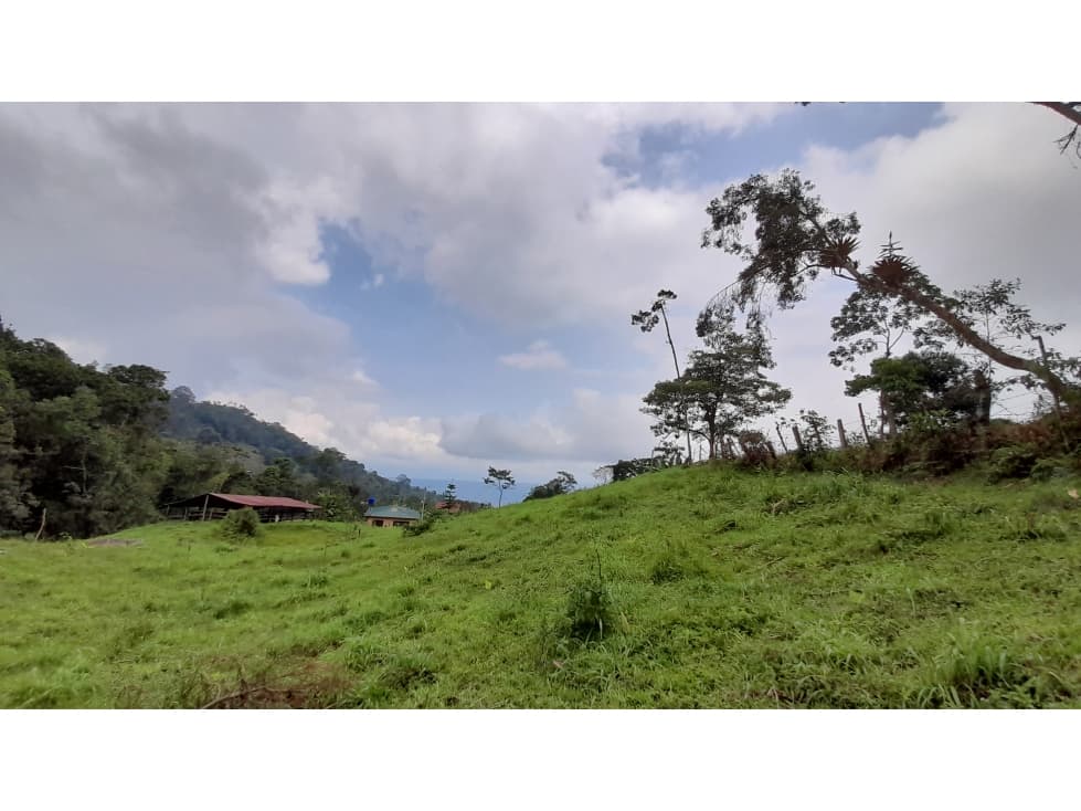 Lote en Vereda Antioquia (El Colegio) - 1