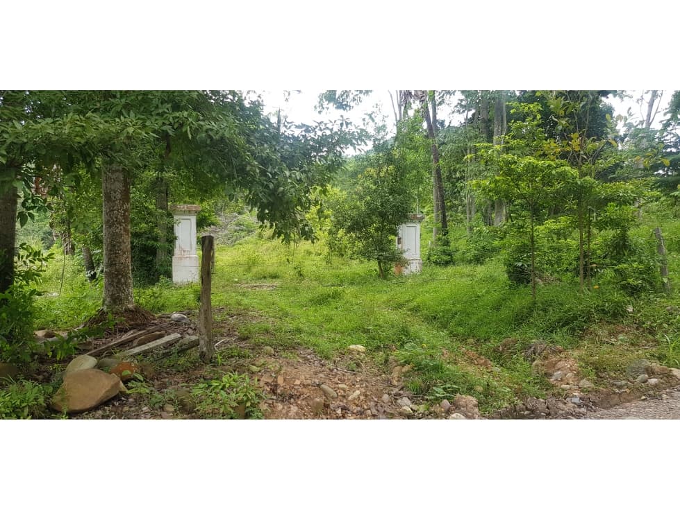 Vende Finca en RIONEGRO CD 183150-2119961 - 1