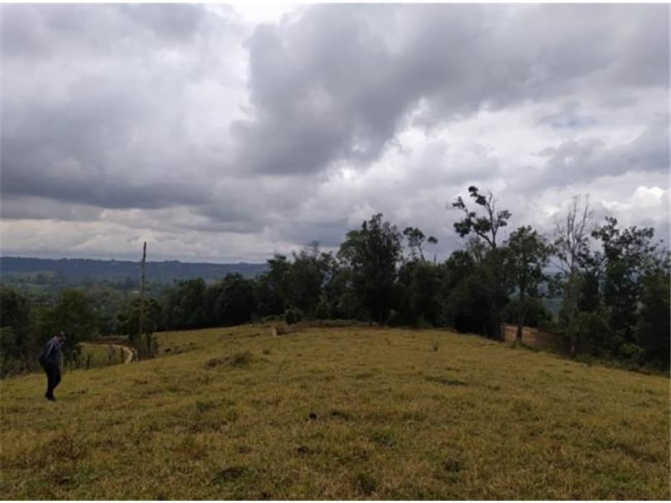 LOTES EN VENTA PARCELACION VILLANUEVA EN TUNIA CAUCA - 1