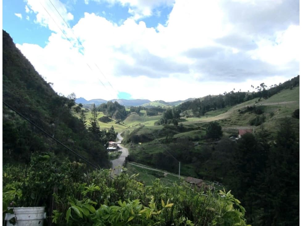 VENTA FINCA COGUA EMBALSE DEL NEUSA - 1