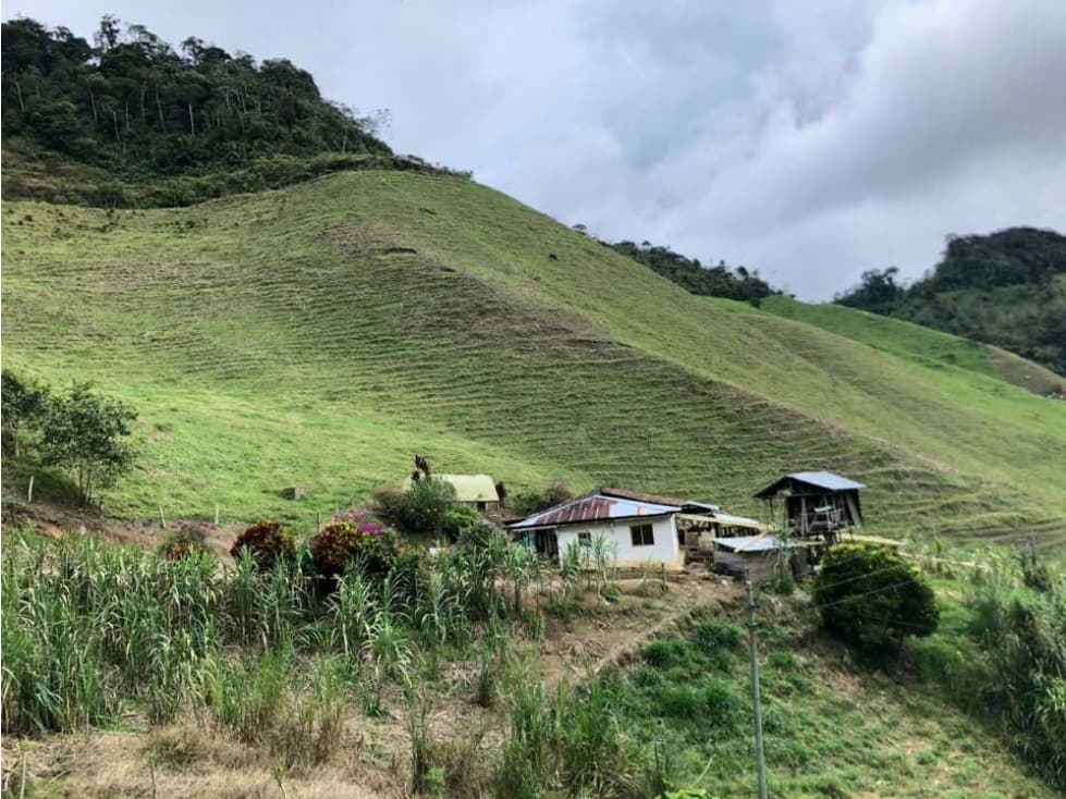 VENDO FINCA GANADERA EN VERSALLES. L. G(6821913) - 1